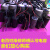 浙江双峰电容电机启动运行电容器 全系列  保证质量 35VF-450V 尺寸50*91