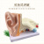 动力瓦特 耳模型 人耳朵解剖模型 内耳结构医学模型 耳鼻喉科教学展示模型 5倍耳朵解剖模型