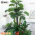 捷诺立（JNL）仿真植物客厅装饰假滴水观音大型绿植盆栽室内摆件含盆+草N96286