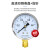 OLOEY上海仪川仪表厂Y60 1.6MPA普通压力表，气压表，水压表 YZ  Y60 -0.1-0.15MPA