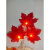 万观天LED枫叶仿真树叶串灯亮化工程电池盒 毛枫叶2号 1.5米10灯电池盒款