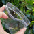 塑料pvc透明防水袋自封口挂牌套园林树木品名物料标识卡吊牌室外 大号竖款2