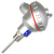 威锐嘉 温度传感器铂热电阻PT100 WZP-231感温探头4分螺纹装配式固定螺纹（定制） （PT100型）插深=150mm 