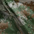冰禹 BYly-43 绿色数码雨衣套装 雨衣雨裤户外骑行雨衣 成人劳保救援加厚防水透气雨衣雨披 分体款 L