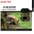 4G红外相机野保相机高清夜视感应动物监测感应夜视远程手机直播 128G套装