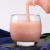 食芳溢采集茶香2.3斤乳酸菌含浓缩酸奶风味优格饮品奶茶店 青柠味乳酸菌