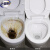 洁厕灵液马桶清洁剂厕所卫生间强力除垢除臭神器去异味清香型