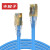 丰应子 FYZ-WS13G 超五类非屏蔽蓝色成品网线0.3米