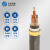 华实（HUASHI）YJV22 4*25mm² 国标铜芯低压电缆 1米