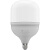 飞雕LED灯泡柱泡节能灯 E27大螺口家用商用功率光源超亮白光球泡13W（2只装）