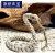 默研（MOYAN）星月菩提雕刻蛇骨手串文玩潮流款男女款 蛇骨顺白款  A27-206 8-10mm