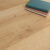 ARTENS 德国原装进口强化复合木地板耐磨欧标ENF级环保地暖维伦木色 10mm全包价 精品维伦21120070