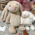 印象琉璃可爱小兔子公仔陪睡毛绒玩具安抚布娃娃儿童垂耳兔玩偶 粉色兔子 全长25厘米