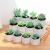 田园小型微观仿真多肉植物盆景塑料花创意摆件客厅商用绿植摆件 JH5698