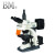 BM 生物显微镜 无限远系统 40-400倍 可选配CMOS成像系统 BM-21AY（三目）1台