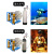 元族空气呼吸器高压充气泵30mpa消防正压式压缩机潜水瓶打气机 三缸风冷宝华充气阀款