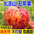 格沃斯（GEWOSI）正宗四川大凉山丑苹果冰糖心红富士爆甜水果蔬菜 带箱10斤特大果