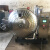 大型冻干机冷冻干燥机冻干机-50°C空压机真空冻干机实验室 ZKML-10型(草莓冻干机)