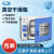 上海一恒真空干燥箱实验室用电热恒温真空烘箱工业小型真空消泡箱 DZF-6055(RT+10~200℃) 415*