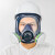 求同2800FD口罩全面型具防护面罩有机蒸气综合气体防毒面具套装 2800+2626+2721+201 七件套