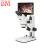 BM彼爱姆平板电脑型连续变倍体视显微镜XTZ-EP(7-45倍)立臂式 配10.5吋高清平板电脑显示屏 适配镜