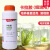高强度组培试剂卡拉胶 培养基凝固剂增稠剂 1400强度可代替琼脂粉 250g/瓶