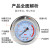 轴向带边耐震压力表油压表YN100ZT防震液压16/25/40mpa气压水压表 压力表0-25mpa M20*1.5