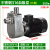 光泉不锈钢自吸泵316水泵耐腐蚀卧式离心泵25FX-13(316)380V