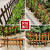 金格羽护栏庭院 庭院围栏护栏防腐实木栏杆栅栏篱笆菜花园菜坛护栏户的 碳化-色60-20/35板厚9--m-m 小