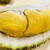 猫山王榴莲肉马来西亚进口带壳 （D197）液氮冷冻水果 特卖装 中果（3.2斤-3.6斤）（包四房）