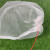 海斯迪克 HK-5103 尼龙网袋 防虫网眼袋 种子袋水稻育种袋尼龙袋套纱网袋套袋40目 15*10cm（10个）