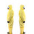 添盾 TD-BP9618 黄色带帽连体式工业防化服 黄色 L
