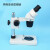 青芯微 PDOK双目体视显微镜放大光学工业显微检测仪多档变倍手机维修设备焊接解剖放大镜 10/30两档变倍显微镜