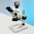 SEEPACK西派克 0750T-SD230S三目体视显微镜高清视频显微镜电子元件检测(含21.5寸屏）