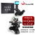 高清生物显微镜PH100-3B41L-IPL专业无限远物镜科研三目 标准配置+1400万摄像头+8寸屏