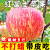 觅滋客洛川苹果新鲜水果批发冰糖心红富士丑苹果5斤/9斤多规格可选 75mm(含)-80mm(不含)中大果 5斤