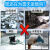 正业源 融雪剂环保型公路小区机场道路融雪除冰剂防冻剂 5斤雪球（-25℃）