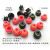 韩国VTEC VMECA真空盘vb20-3黑色丁晴红色硅胶VB20-S-M518MFO VB20-S-M518MFO
