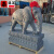 泰禧阁石雕大象天然汉白玉一对新中式吉祥如意石象酒店庭院门口装饰摆件 青石象高30cm