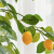 匠人老友（JiangRenLaoYou）仿真柠檬树绿植盆栽北欧ins风网红大型室内装饰花客厅摆件假植物 120cm