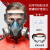 安爽利（ASL）防毒口罩防尘面具KN95全面罩带防雾护目镜 口罩+眼罩+6片滤棉