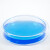 海斯迪克 HKQS-150 加厚玻璃培养皿 细胞培养高硼硅培养皿 玻璃高透明平皿 120mm