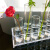 实验玻璃试管花架摆件网红插花亚克力水培绿植鲜花高级感透明 套餐四 1套 
