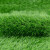 伏兴 人造草坪仿真草坪 塑料装饰草皮地垫建筑工地围挡 10mm草高 军绿色 1平米