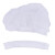 上柯B2050 一次性帽子条形帽无纺布防尘帽网帽 双筋白色(100只）
