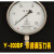 上海自动化仪表四厂不锈钢压力表Y-200BF 不锈钢压力表定制 0-16MPA