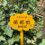 幼儿园菜园植物种植标示牌菜地农场草地爱护花草提示牌户外警示牌【12月12日发完】 M款大红色空白板 均码