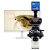 纽荷尔专业研究级光学自动对焦生物显微镜数码测量观察生物切片高倍高清S-Y600