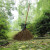 竹扫把农村老式竹丝扫帚笤帚户外庭院环卫通用大扫把扫院子 鬃毛扫帚 长14米