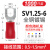 定制适用于 接线端子SV1.25-3叉型端子U型冷压端子绝缘端子线鼻子SV1. SV1.25-6(1000只/包)